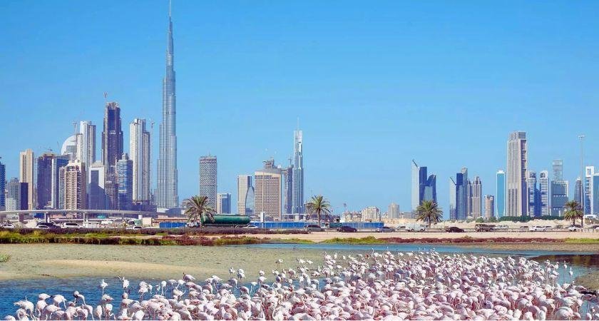 Off-Plan Properties in Ras Al Khor Dubai - Real Estate Window (1)